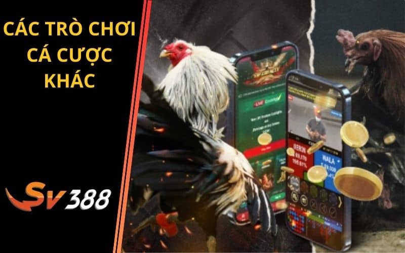 tại game vf555 - Vươn Tầm Giải Trí Gà Nòi - Bí Mật Thành Công & Hướng Dẫn